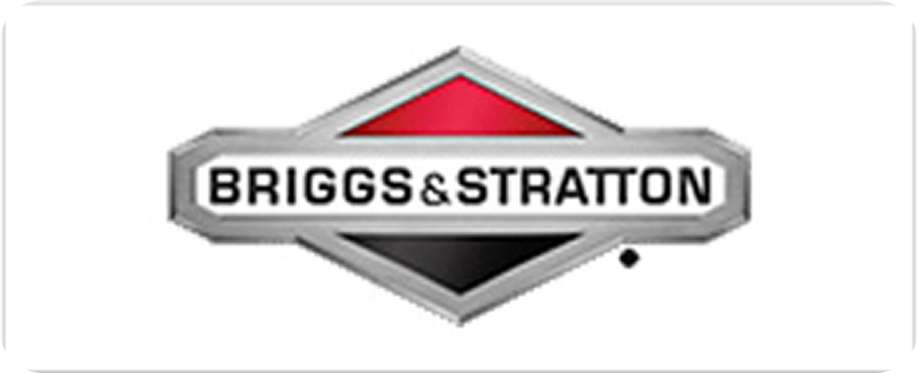 Briggs & Stratton