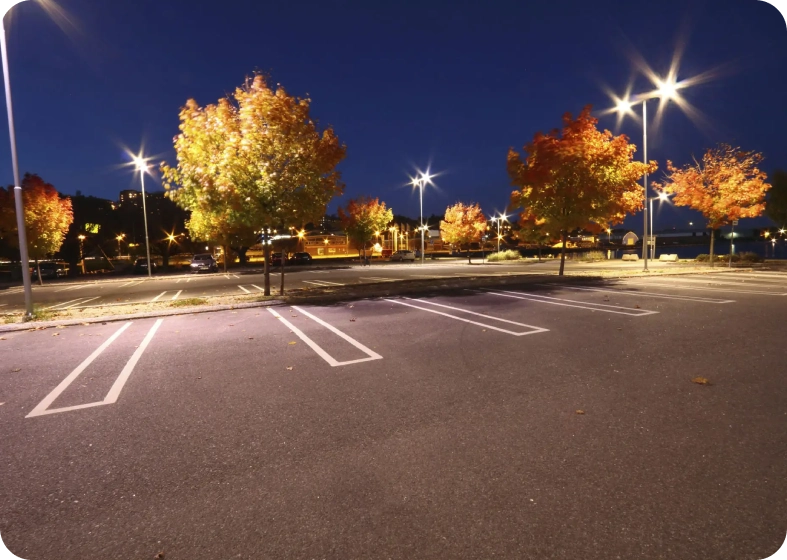 Empty parking lot at night with illuminated trees.